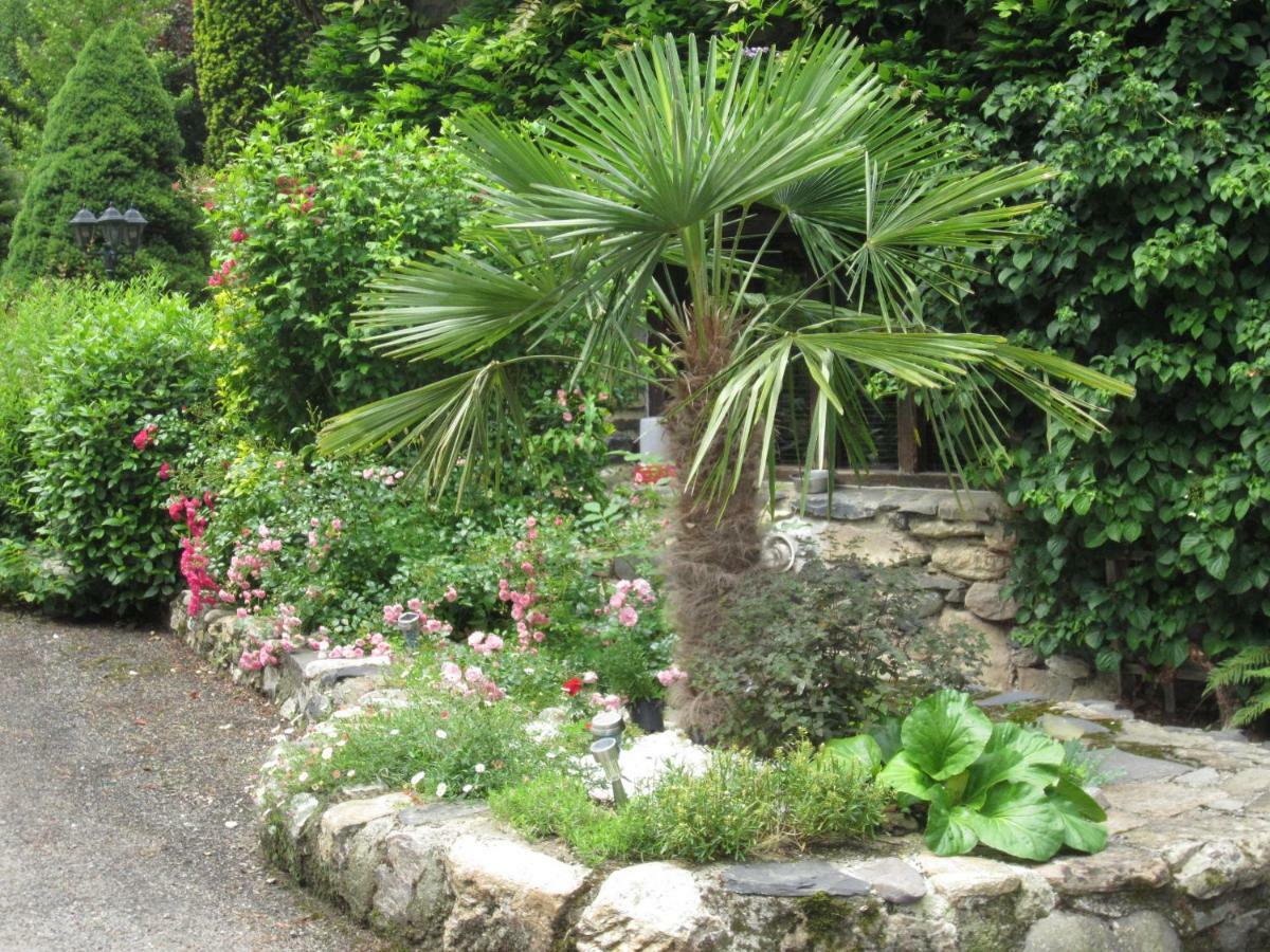 Camping Jardin La Vie En Vert En Ariege Hotel Augirein Exterior foto