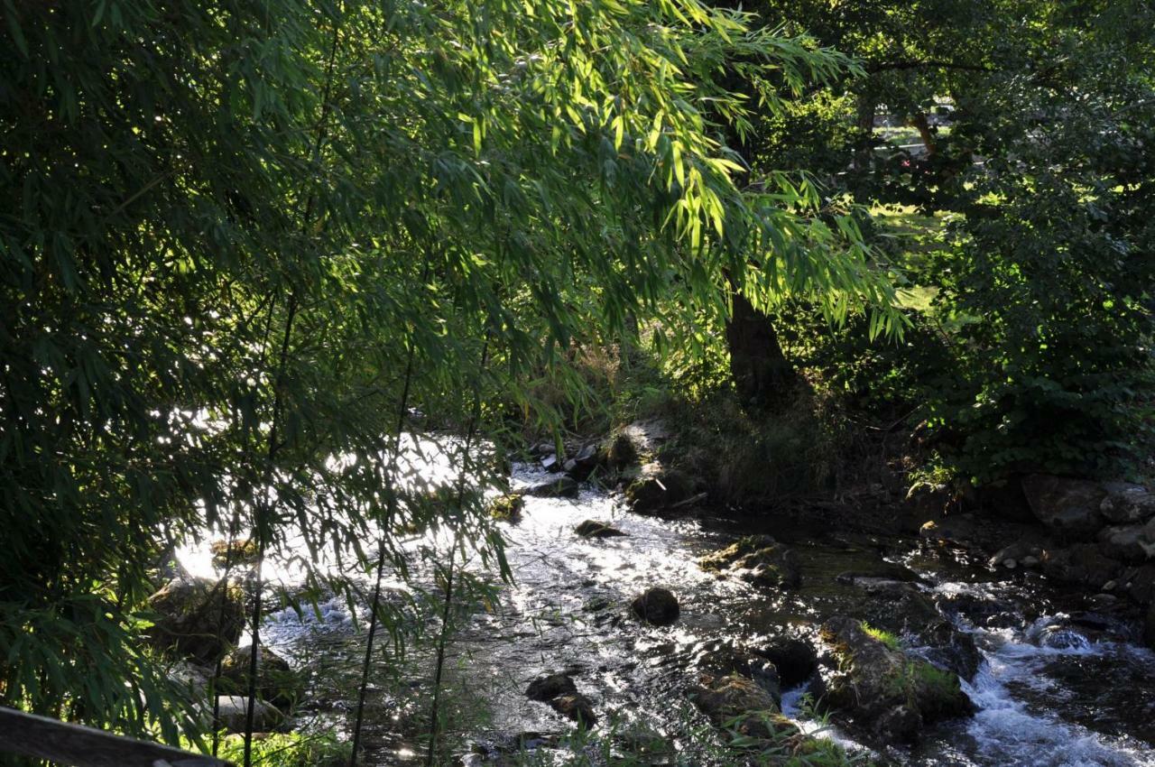 Camping Jardin La Vie En Vert En Ariege Hotel Augirein Exterior foto