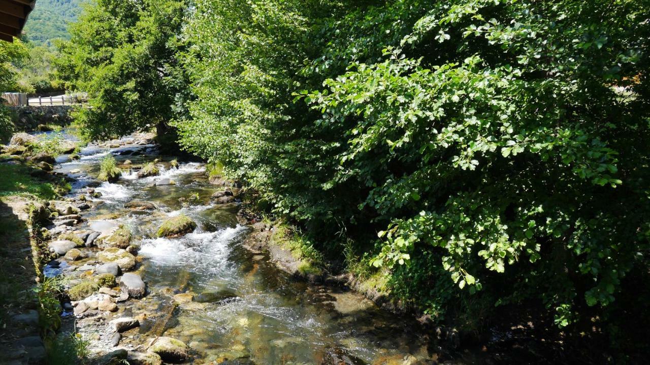 Camping Jardin La Vie En Vert En Ariege Hotel Augirein Exterior foto